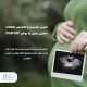 تعیین-جنسیت-و-اختلالات-ژنتیکی