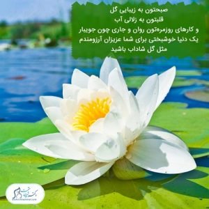 117-سلامت-روحی-روانی سلامت روان