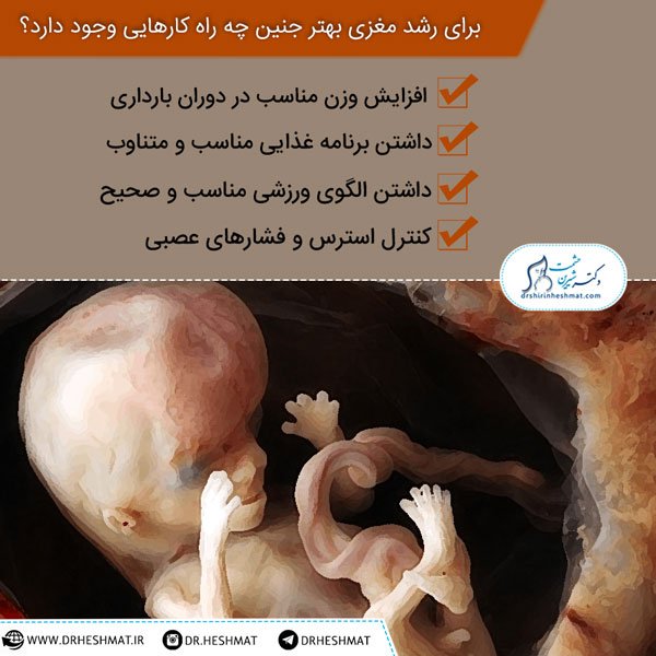 رشد مغزی بهتر جنین رشد مغزی جنین | مشاوره های بارداری